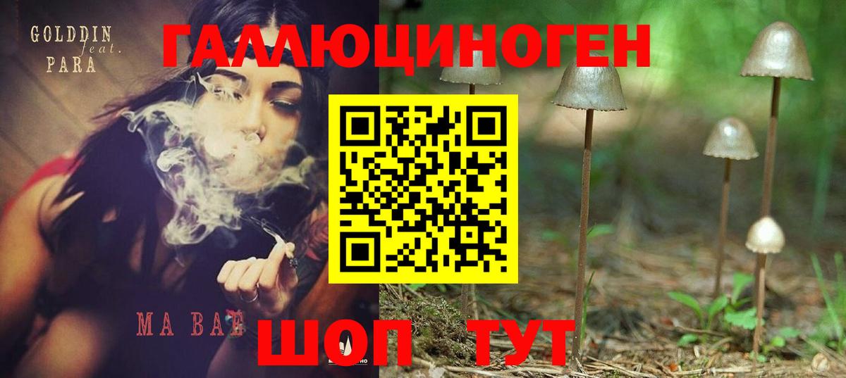 Новокубанск  Псилоцибиновые грибы прущие грибы  Вход с VPN  Псилоцибиновые грибы GOLDEN TEACHER 
