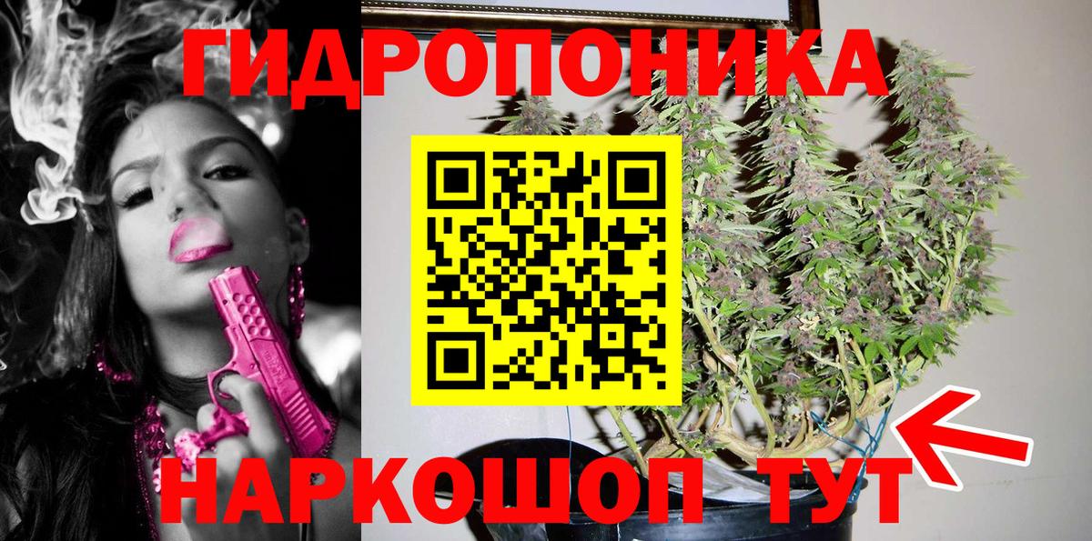 Бошки Шишки план  Вход с VPN  Новокубанск  Конопля сатива  Конопля ГИДРОПОН 